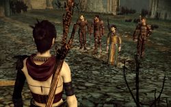 dragonage_screen003.jpg