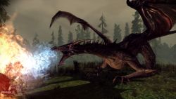 dragonage_screen019.jpg