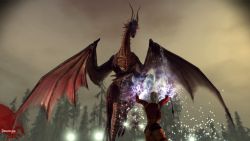 dragonage_screen020.jpg