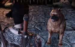 dragonage_screen024.jpg