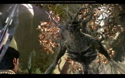 dragonage_screen033.jpg