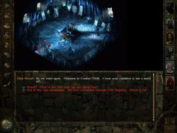 icewinddale_screen002.jpg