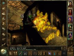 icewinddale_screen013.jpg