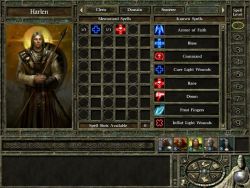 icewinddale2_screen016.jpg