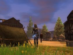 neverwinter2_screen006.jpg