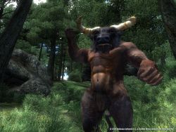 oblivion_screen020.jpg