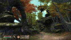 shiveringisles_screen008.jpg