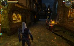 thewitcher_screen016.jpg