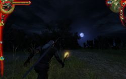 thewitcher_screen005.jpg